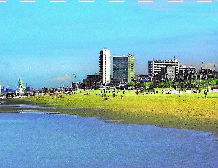 Amsterdam Beach Apartment Zandvoort Eksteriør billede
